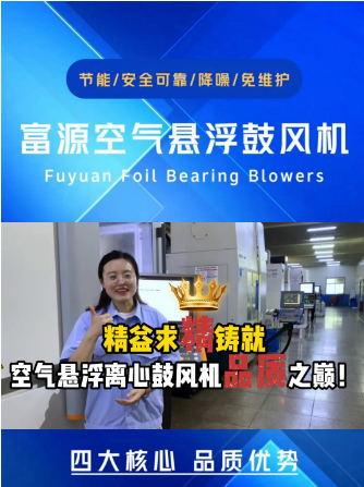 富源風(fēng)機：精益求精 鑄就空氣懸浮離心鼓風(fēng)機品質(zhì)之巔